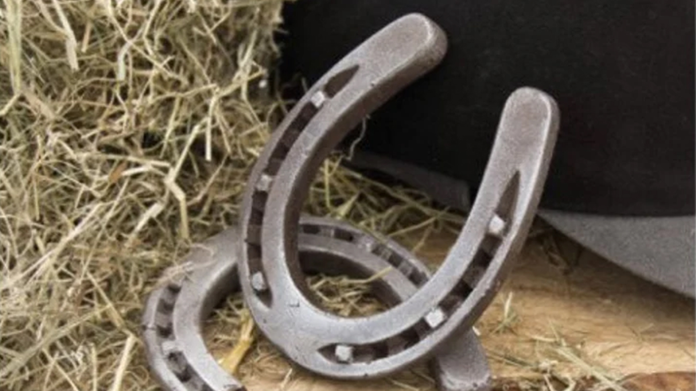 Chocolate Horseshoe
