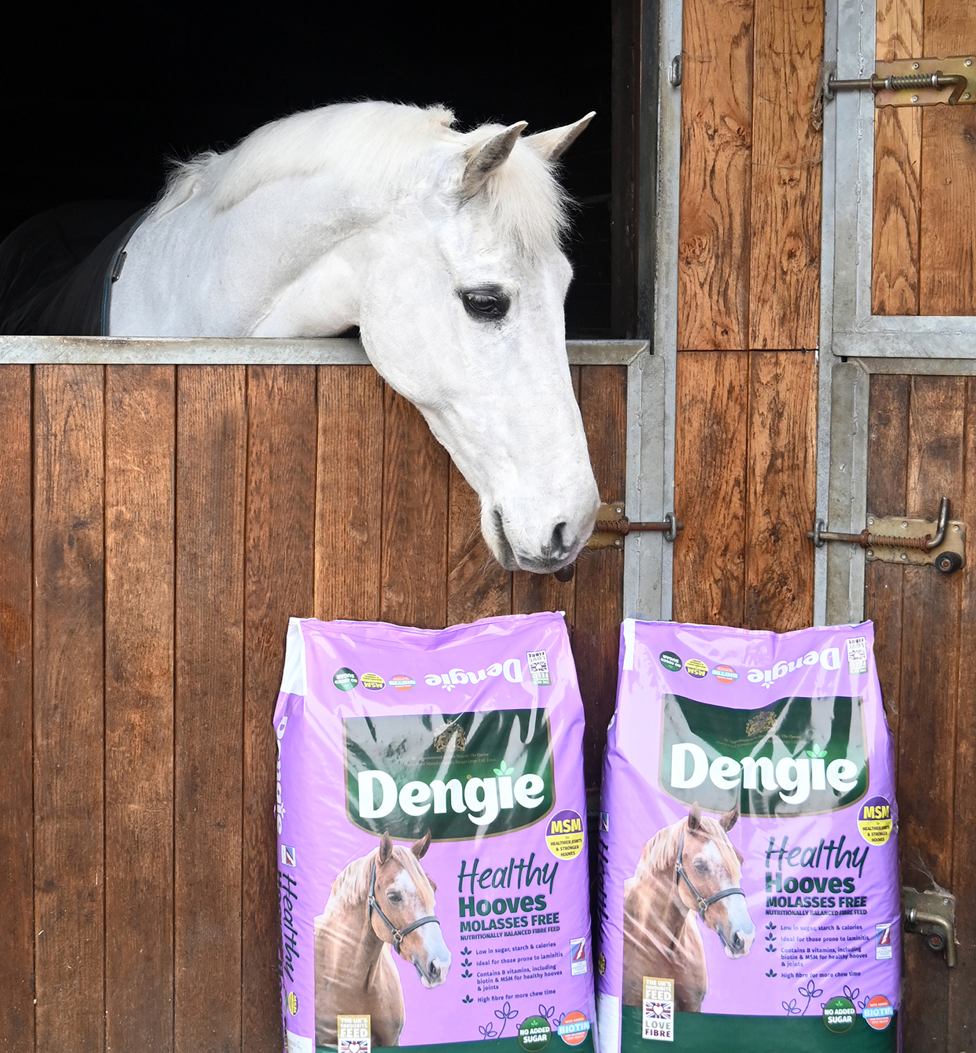 A grey horse looks over the stable door with Dengie feeds below