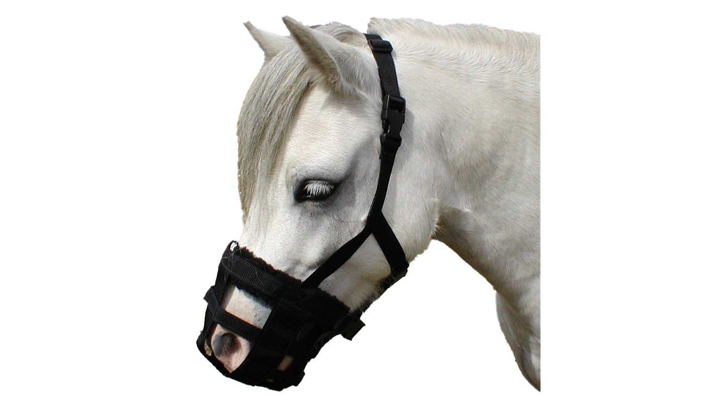 Dinky Classic grazing muzzle
