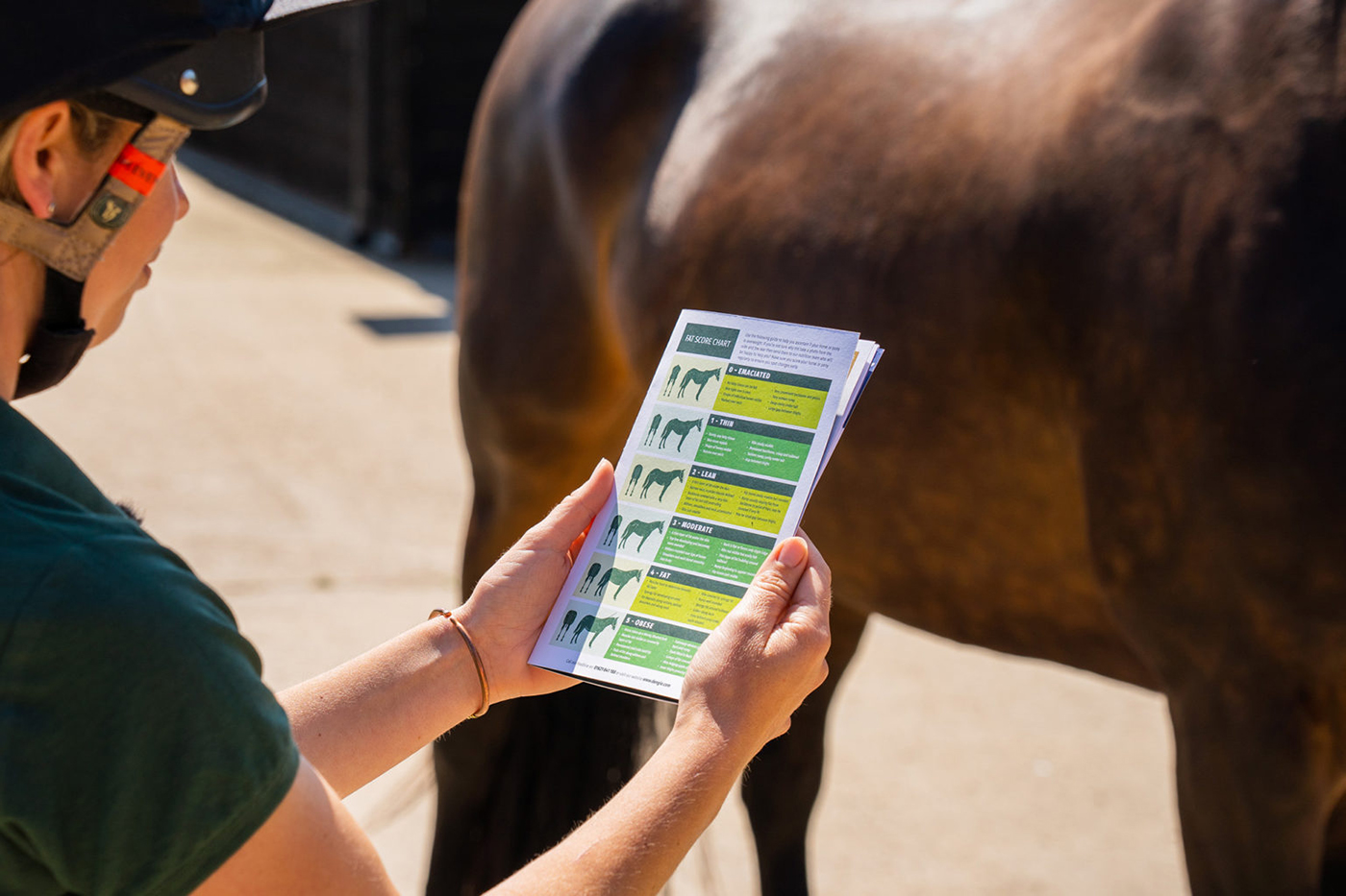 An owner looks at a body condition score chart with a horse in the background