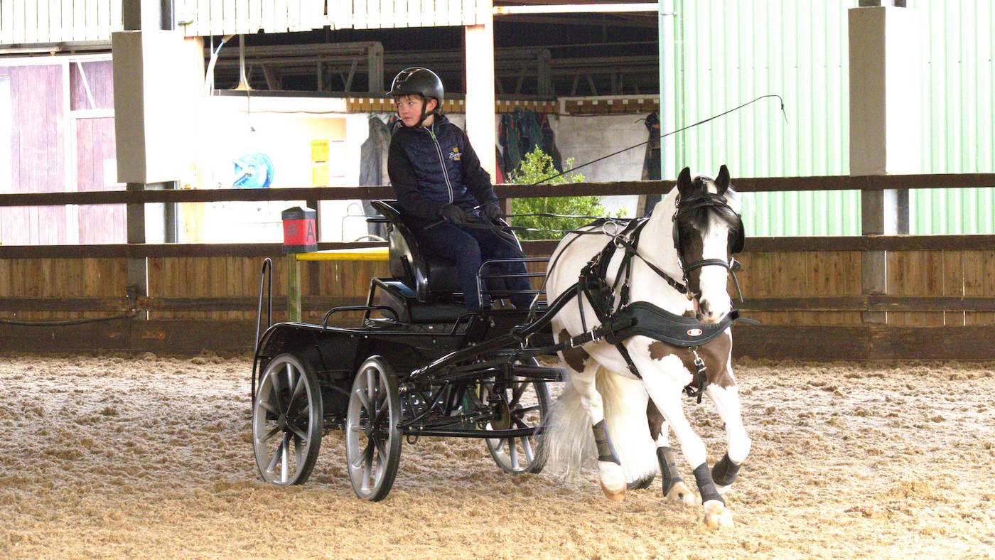 Rescue Pony and Young Boy Win Driving Competition: A Heartwarming ...