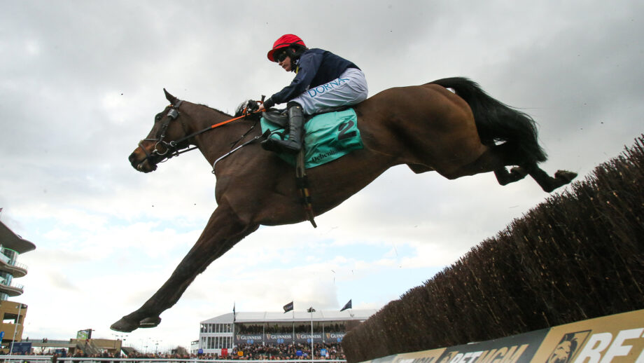 Rachael Blackmore jumps the last on Dancing On My Own in The Debenhams Johnny Henderson Grand Annual Handicap Steeple Chase Challenge Cup on Day 2 of the Cheltenham Festival 2025