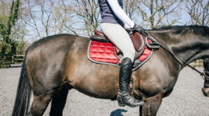 close-up of rider demonstrating no stirrups