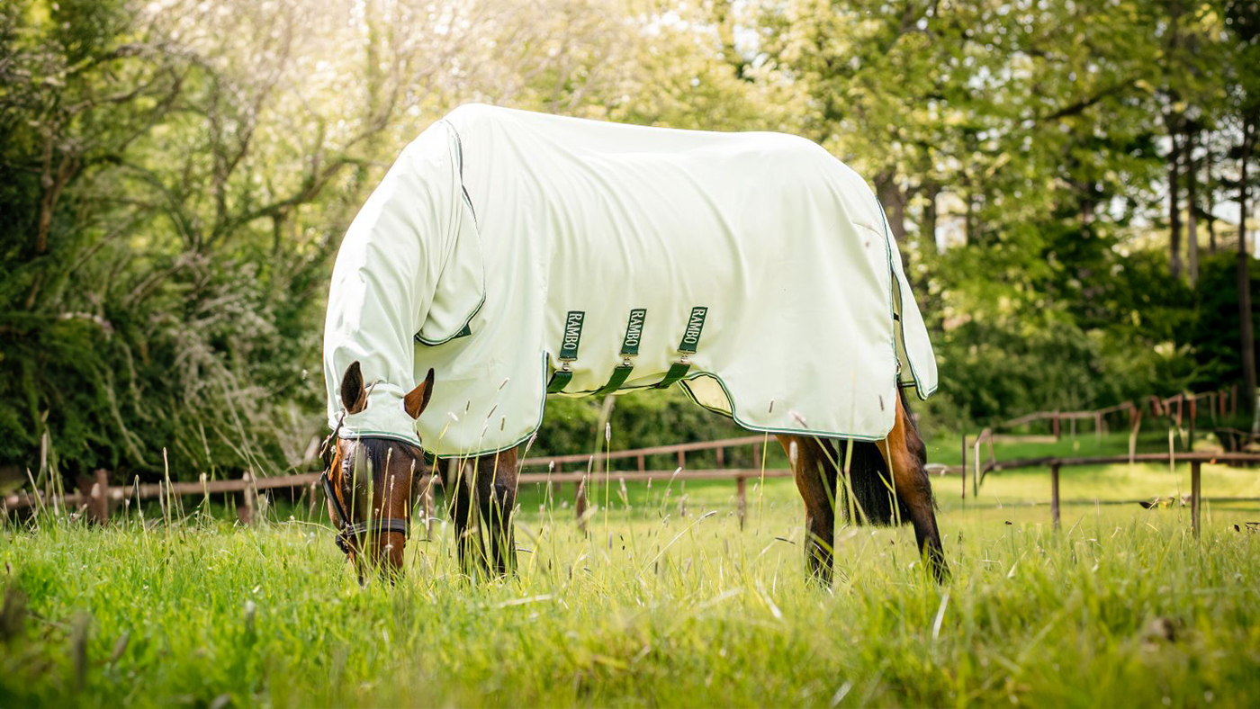 Horseware Rambo Sweet Itch Hoody