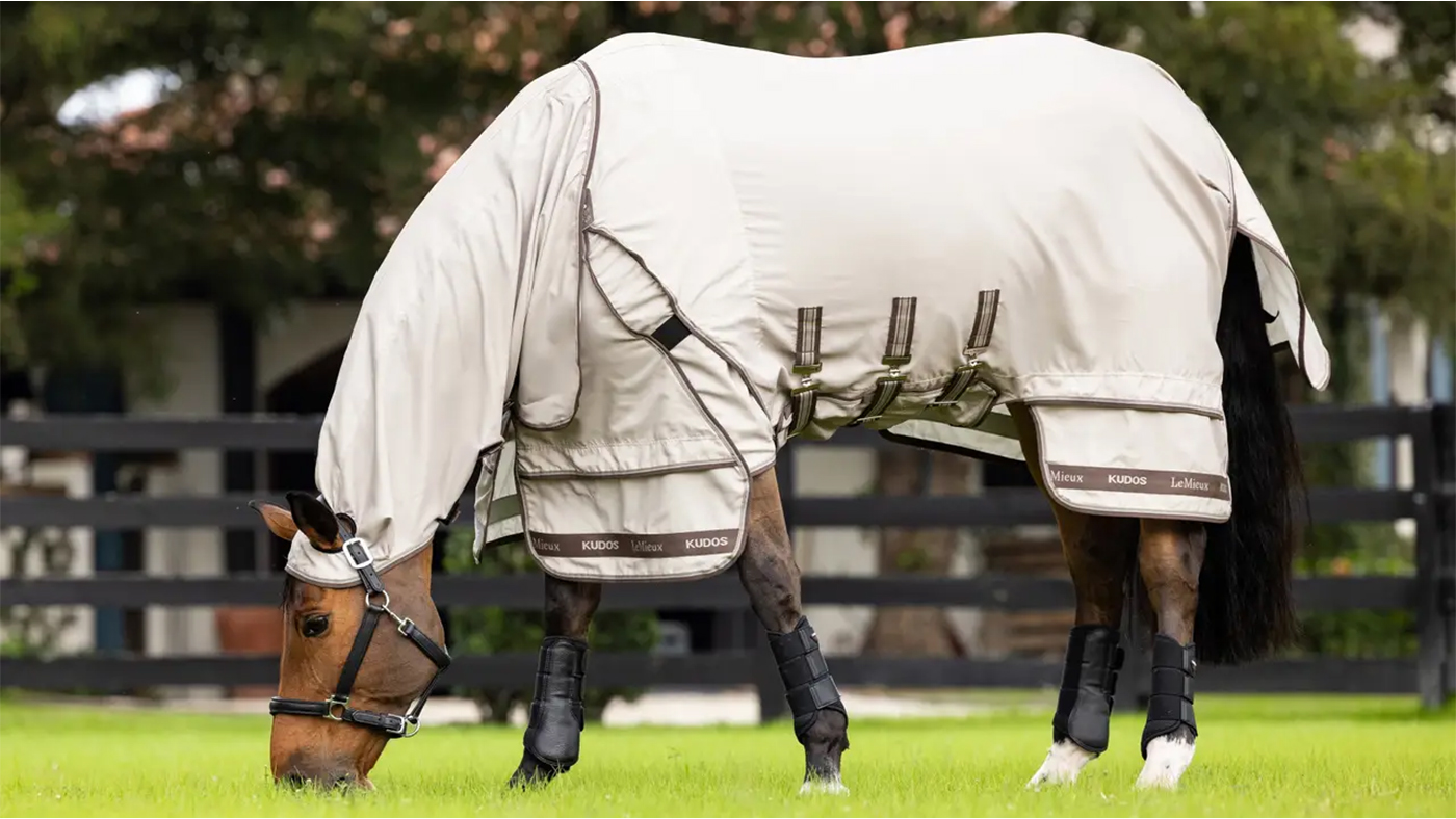 LeMieux Kudos Sweet Itch Rug