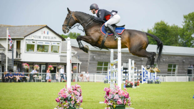 Showjumper Mark Edwards on Tinkers Tale who sired many of his home-breds
