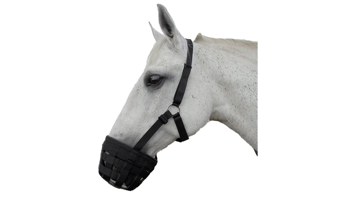 Rhinegold grazing muzzle