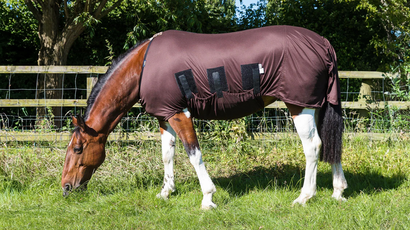 Snuggy Hoods Sweet Itch rug