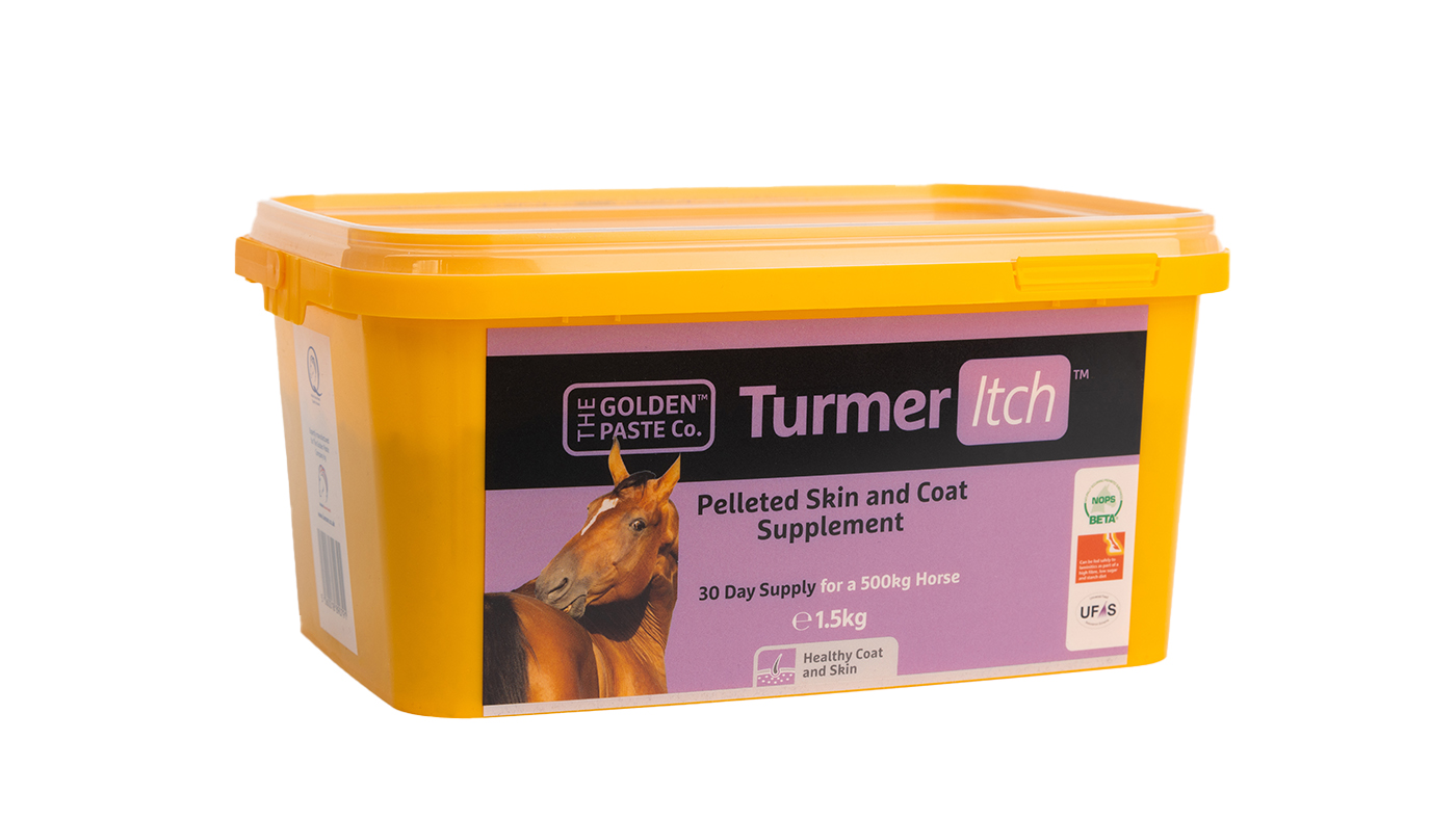 The Golden Paste Company TurmerItch supplement