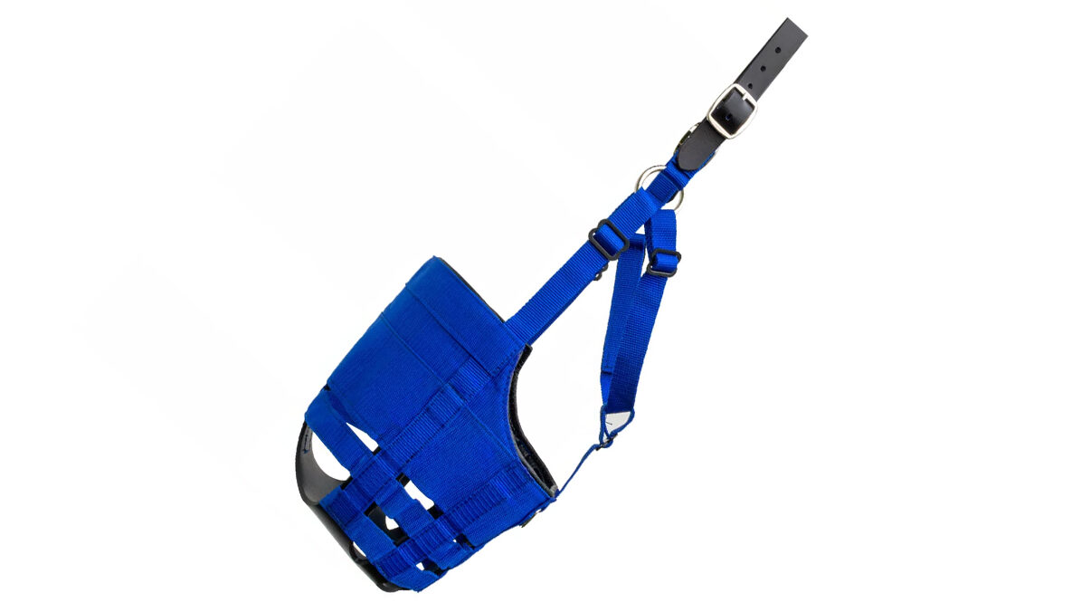 The Ultimate grazing muzzle 