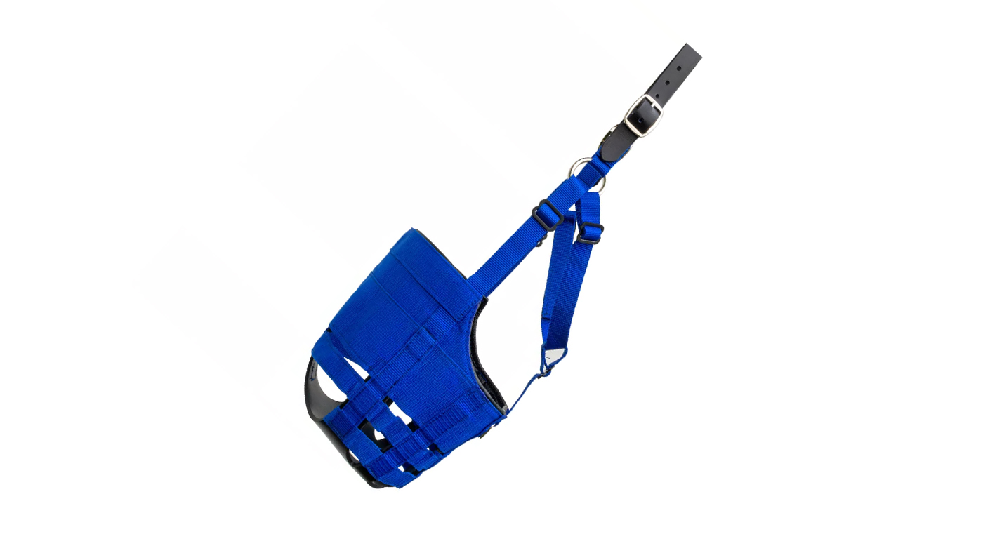The Ultimate grazing muzzle 