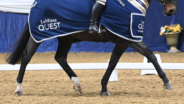 British Dressage Quest