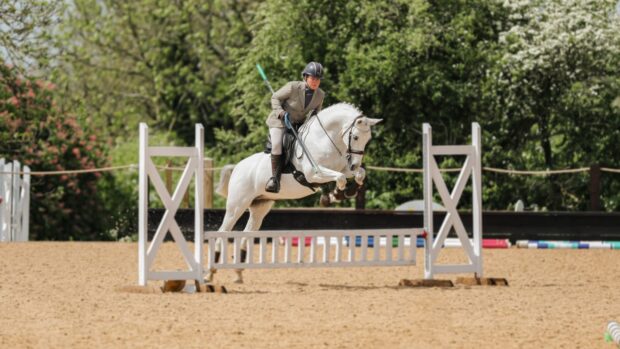 working equitation