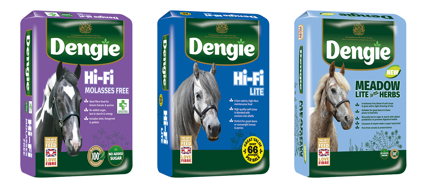 Dengie forage replacement products