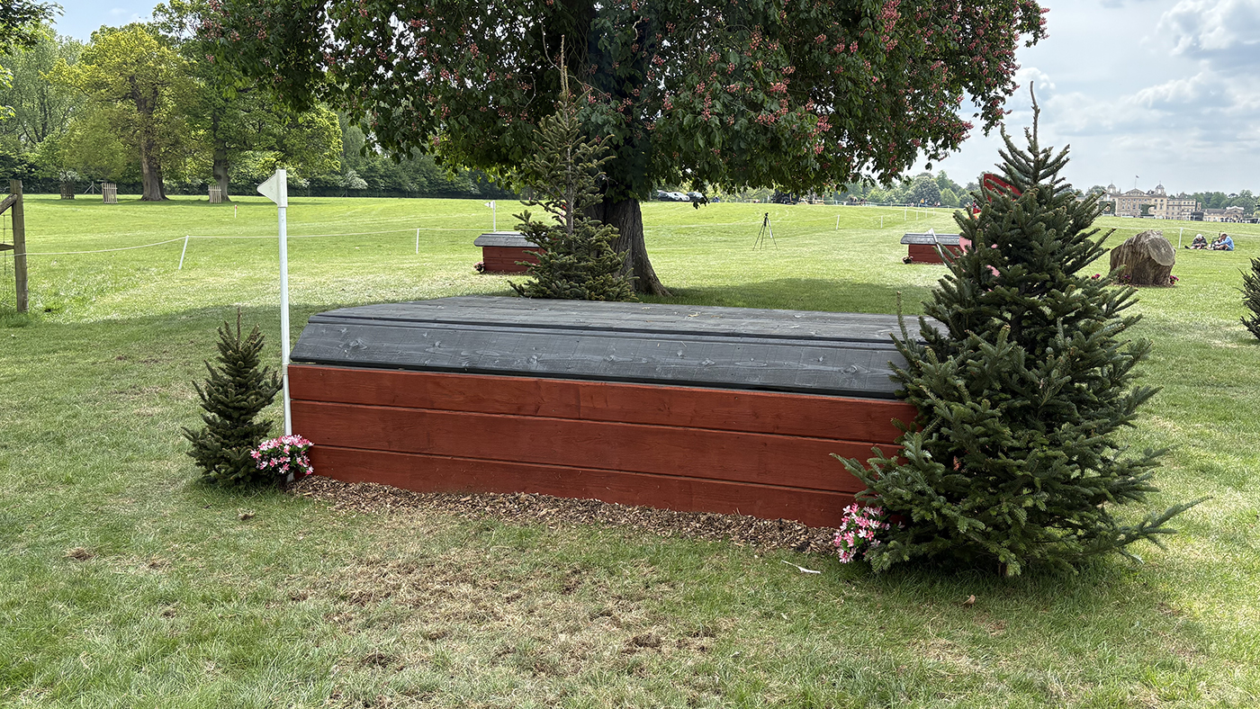 BE100 grassroots championships cross-country course: fence 12a
