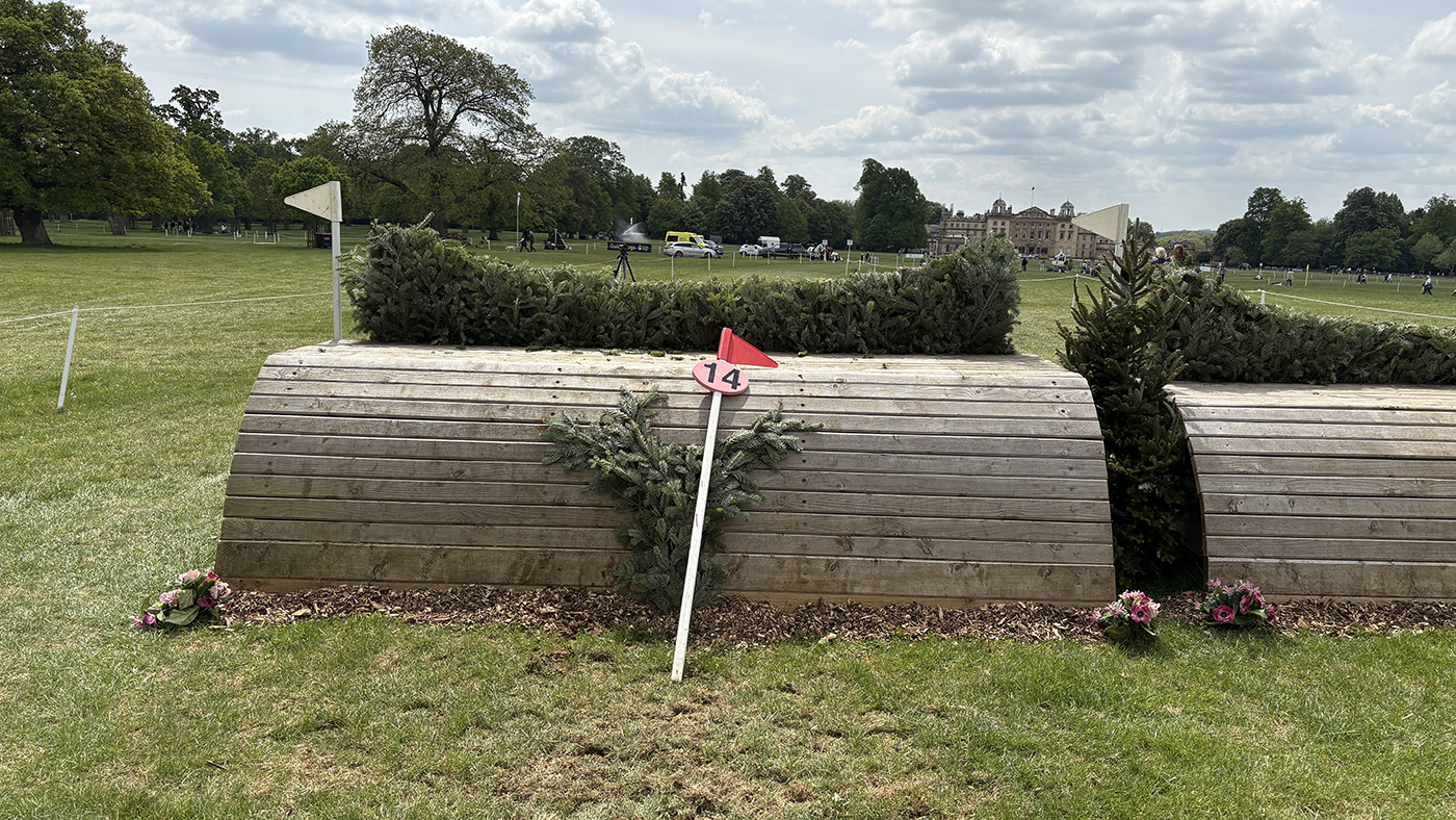 BE100 grassroots championships cross-country course: fence 14