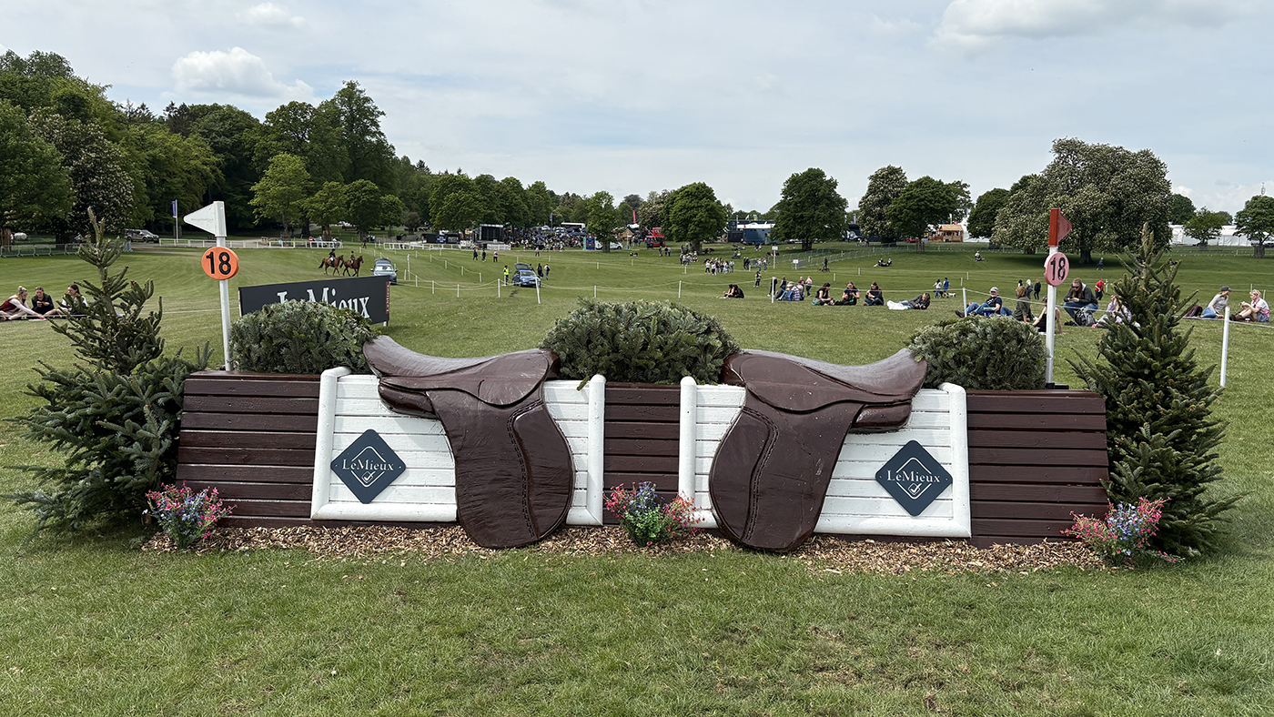 BE90 grassroots championships cross-country course: fence 18