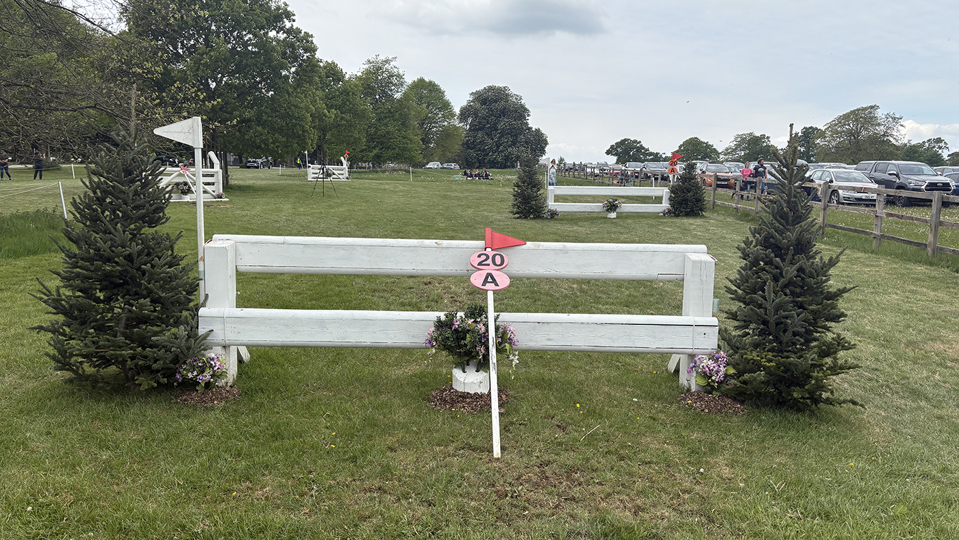 BE100 grassroots championships cross-country course: fence 20a