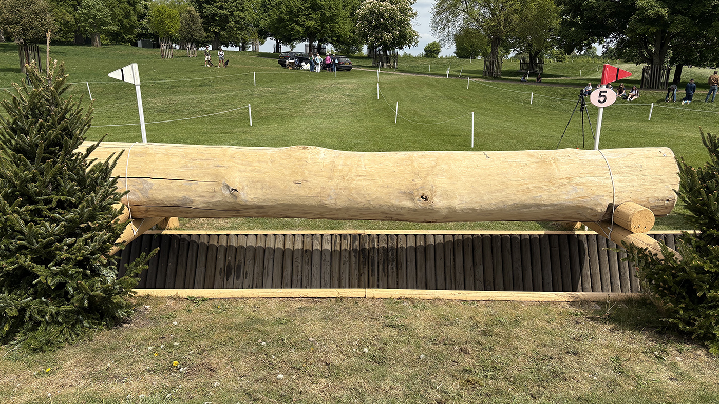 BE100 grassroots championships cross-country course: fence 5