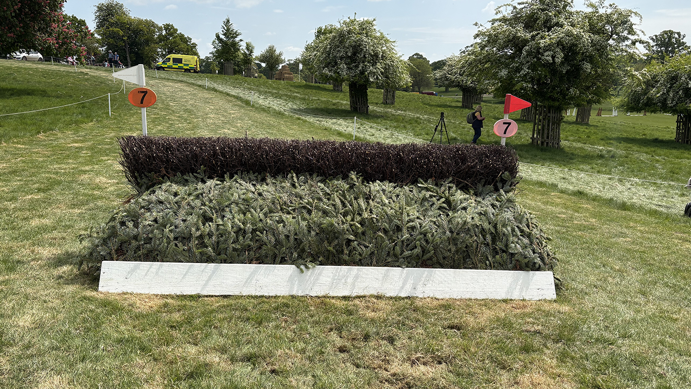 BE100 grassroots championships cross-country course: fence 7