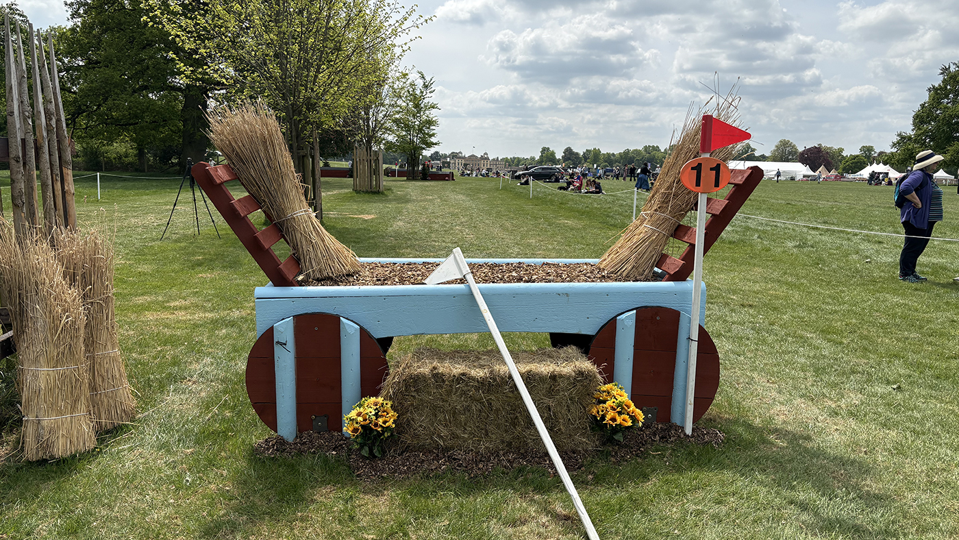 BE90 grassroots championships cross-country course: fence 11