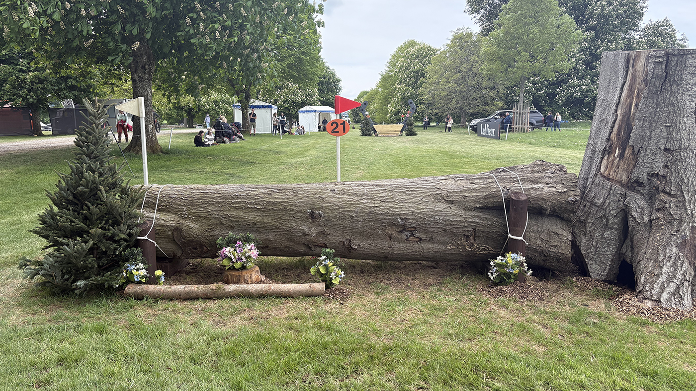 BE90 grassroots championships cross-country course: fence 21