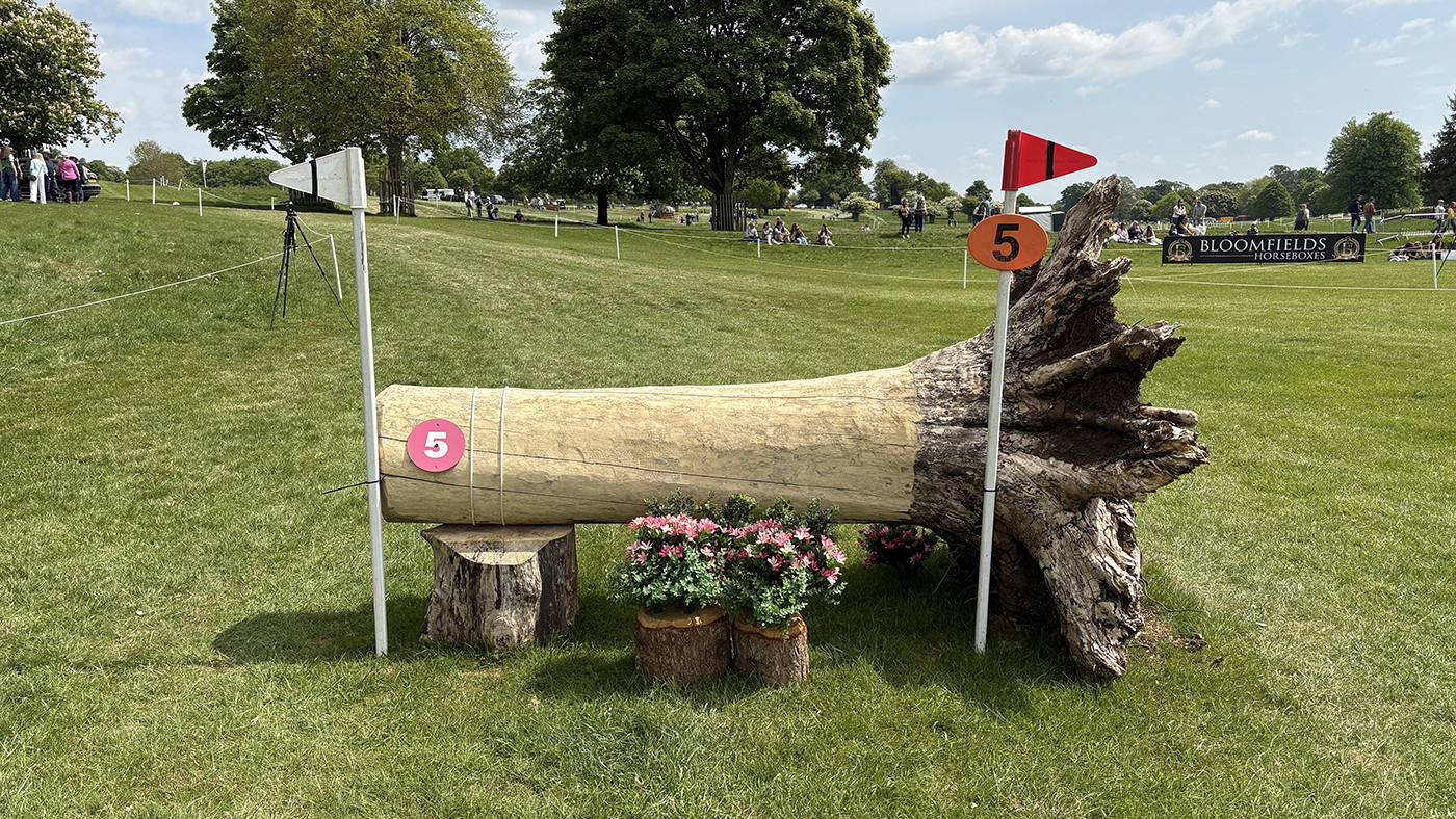 BE90 grassroots championships cross-country course: fence 5