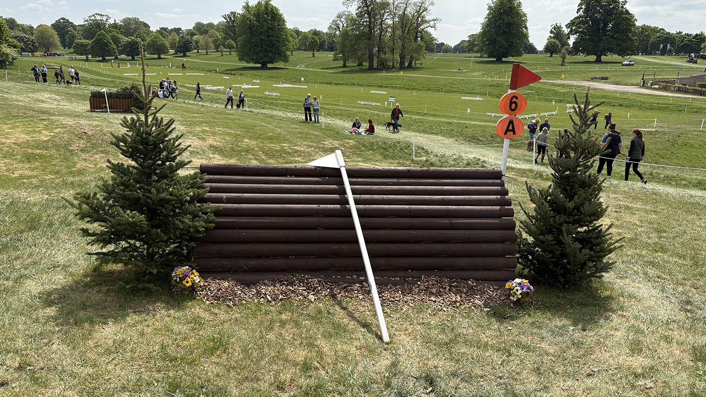 BE90 grassroots championships cross-country course: fence 6a