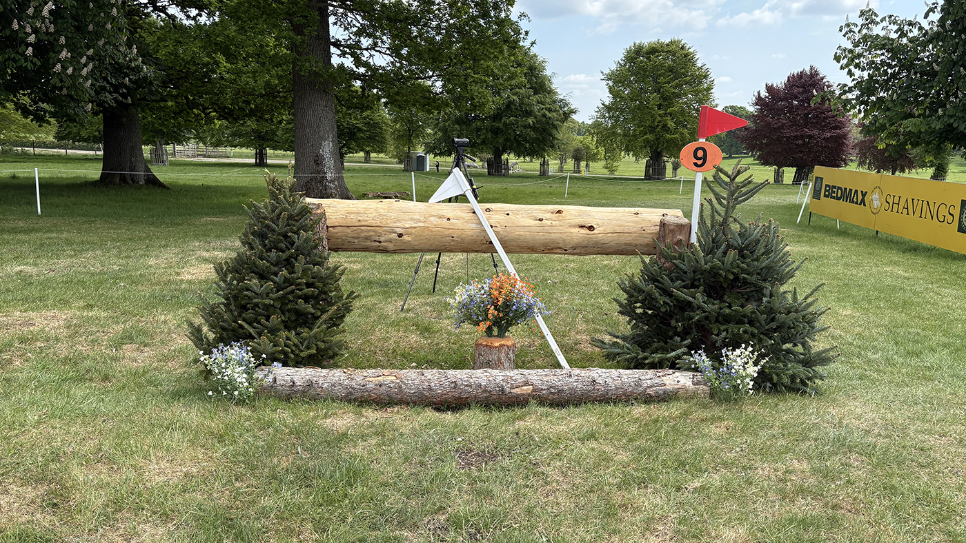 BE90 grassroots championships cross-country course: fence 9