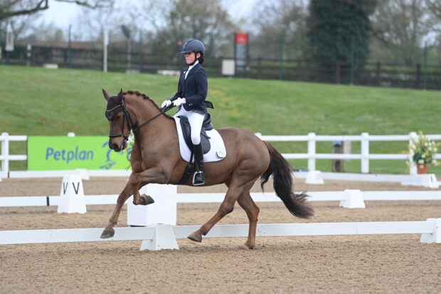 Annabelle Wesley and Dyffryncothi Bridget (Scruffy) on their way to winning in the under-21 prelim bronze at the 2023 Winter Area Festival Championships. Winter dressage championships