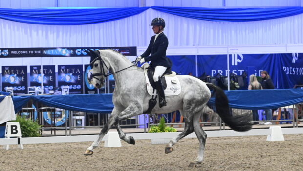 sadie smith at the winter dressage championships