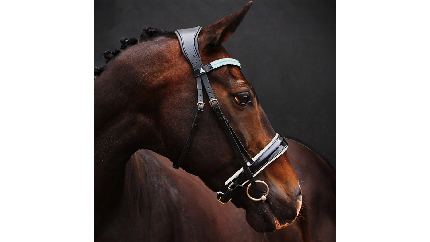 Bliss Allegro Bridle