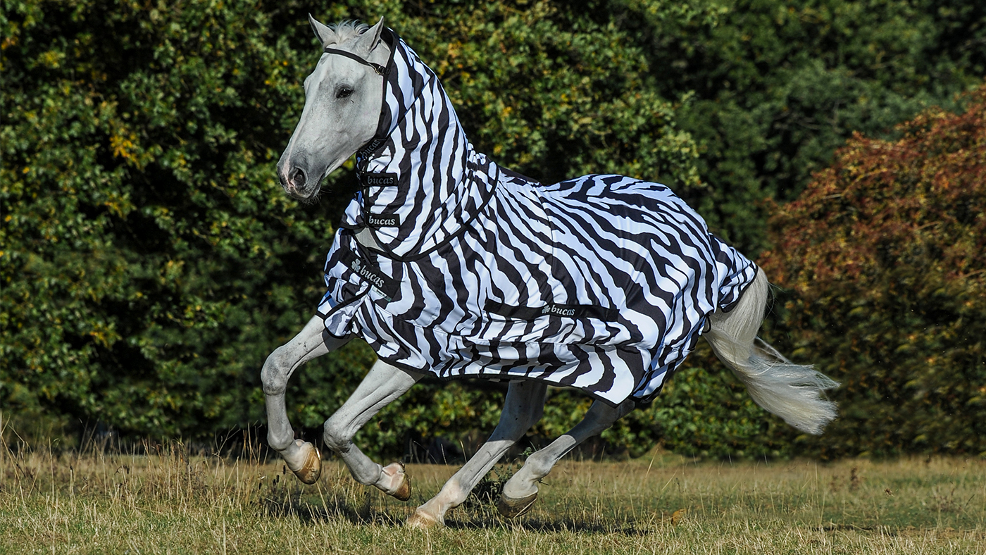 Bucas Buzz-Off Full Neck Zebra Fly rug