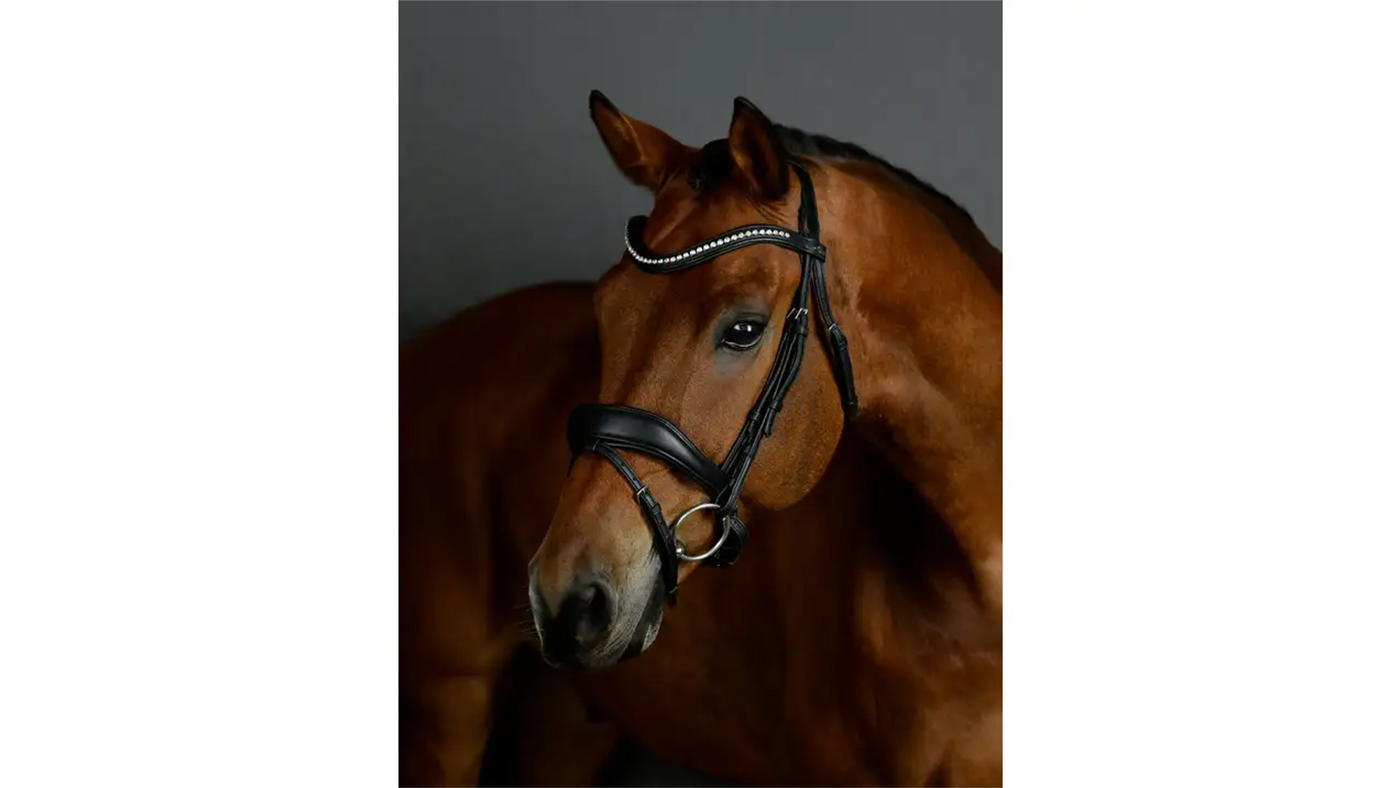 Collegiate ComFiTec Opulux Padded Dressage Bridle