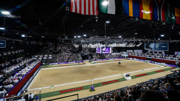 world cup horse welfare