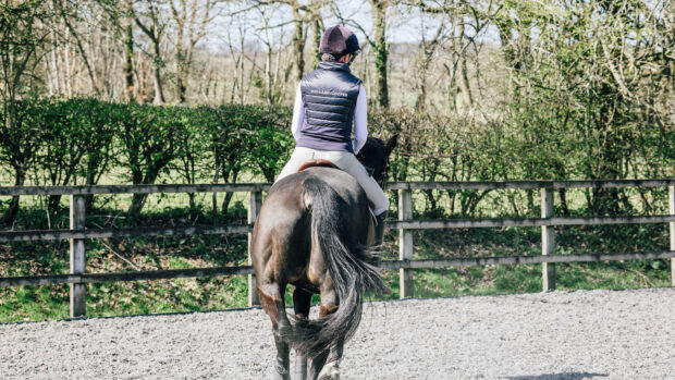 Rider viewed from behind on horse
