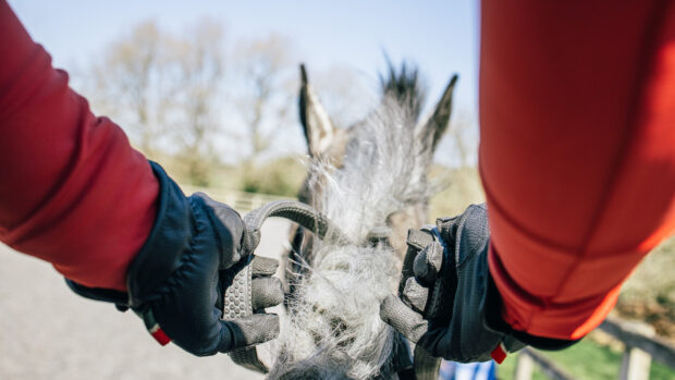 How to hold the reins as shown from the rider's position, birds-eye view