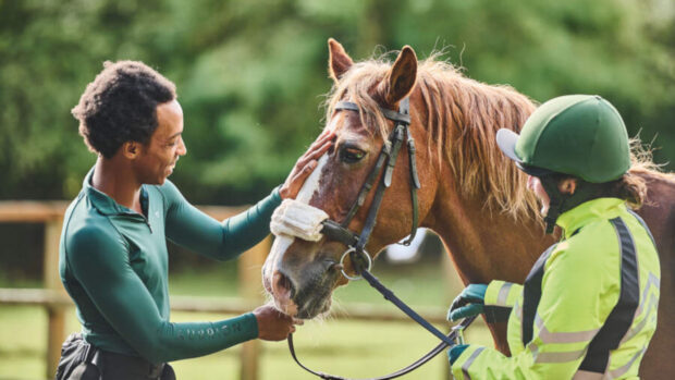 A report has found that the cost of riding school licences varies across counties.