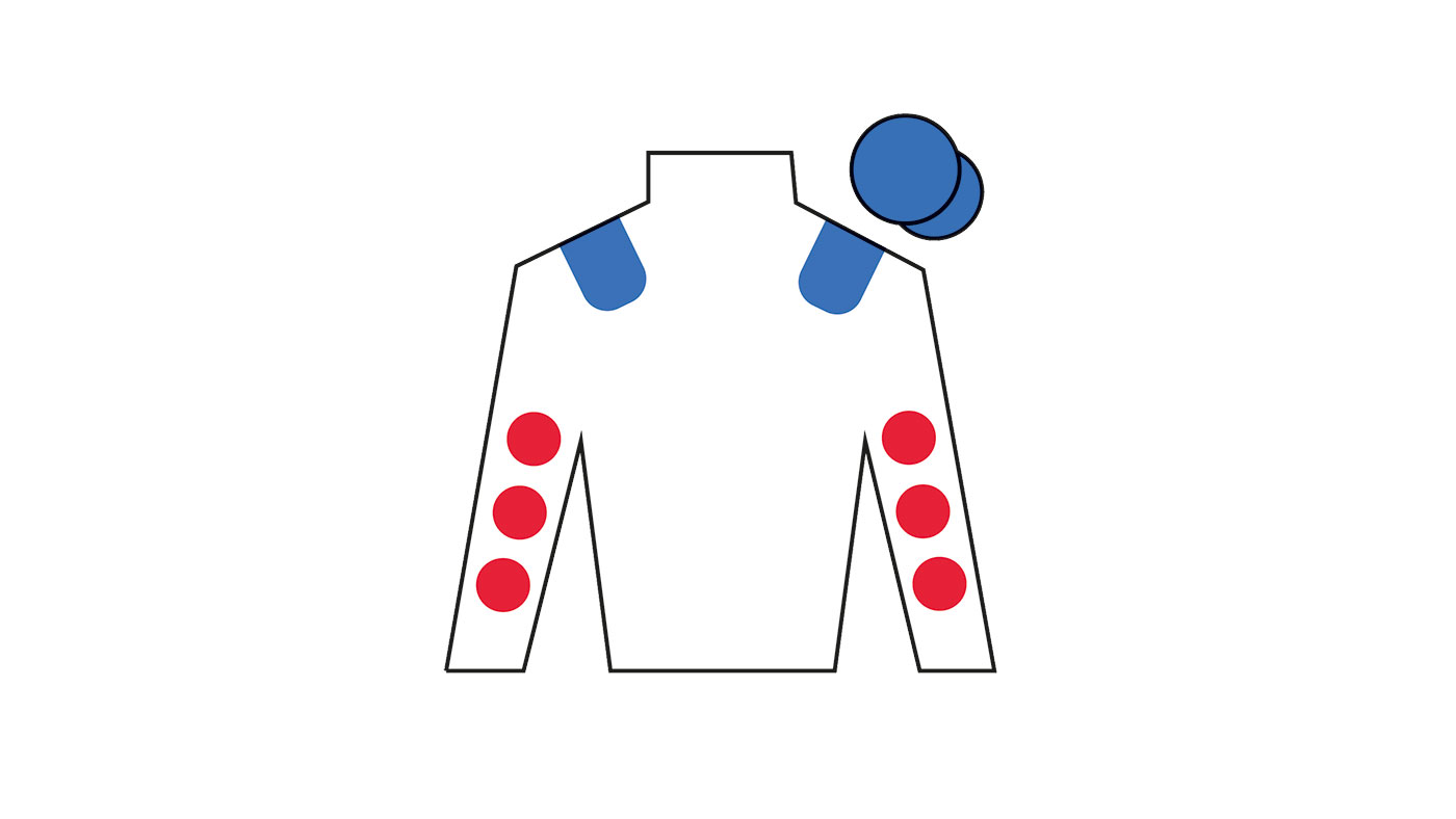 Grand National runners