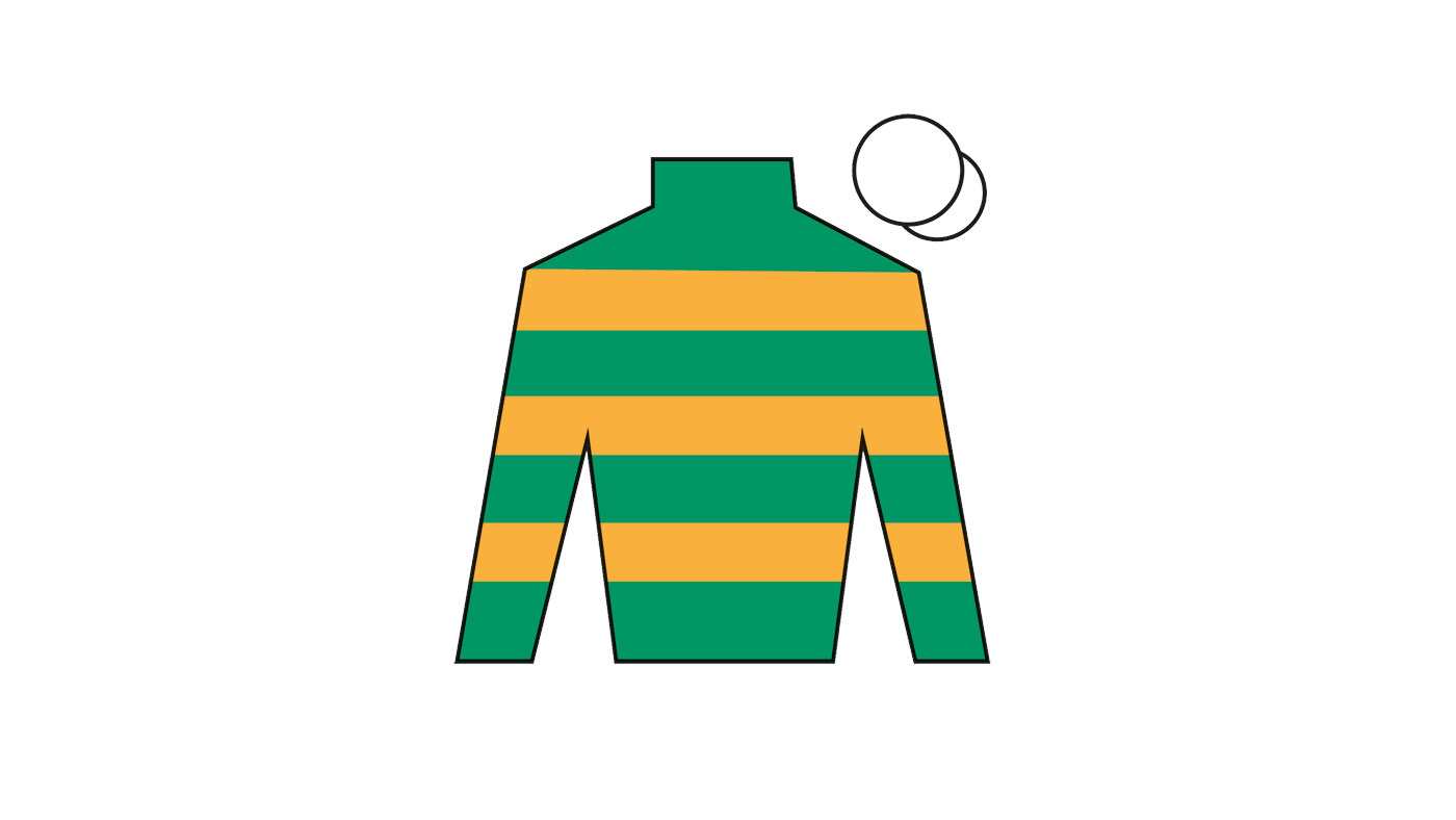 Grand National runners