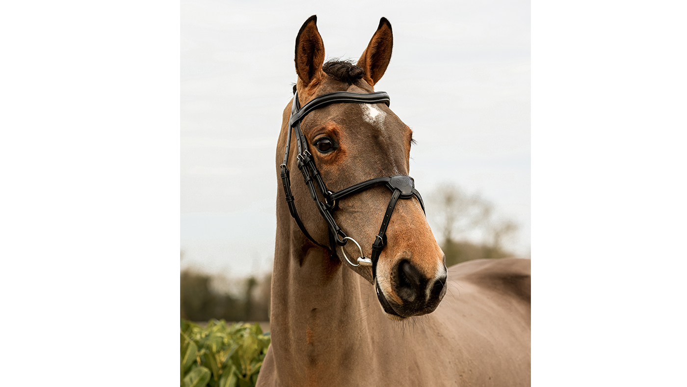 Henry James Saddlery Mexican Grackle Bridle