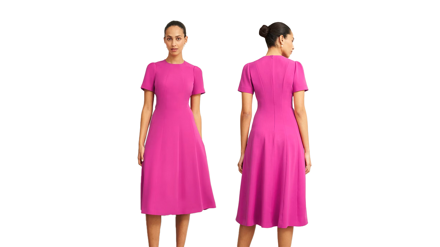 Hobbs Eliana Dress