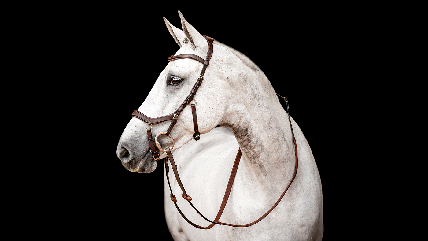 Horseware Micklem Competition Bridle