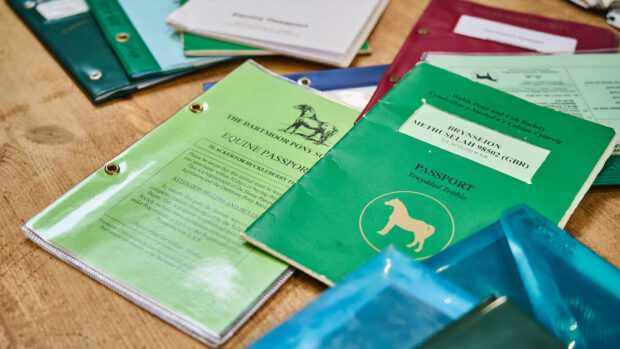Equine passports