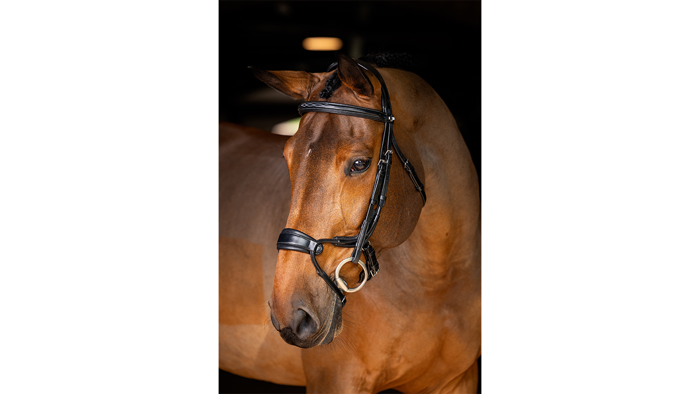 LeMieux Kudos Clear Arc Bridle