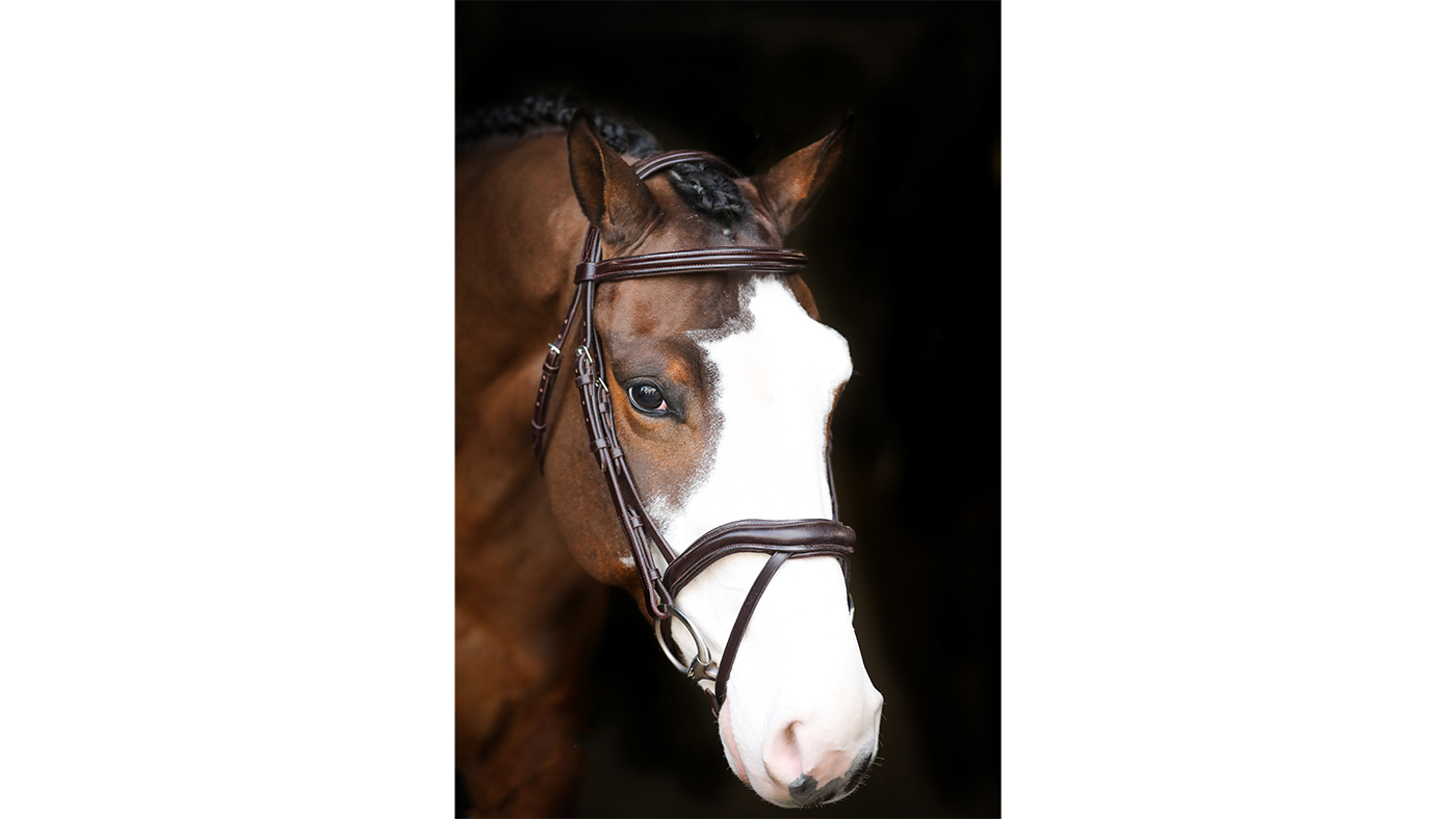 Mackey Legend Athena Bridle