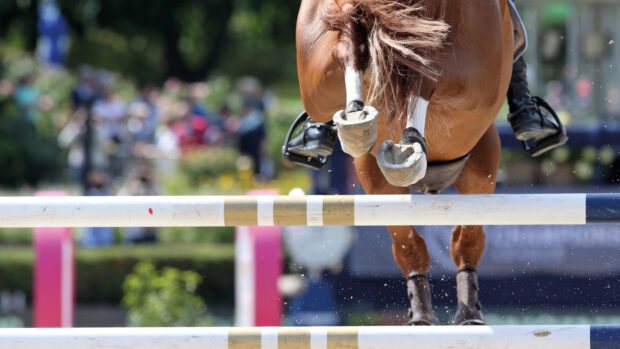 Showjumping stakeholders have discussed young horse classes at the FEI Sports Forum.