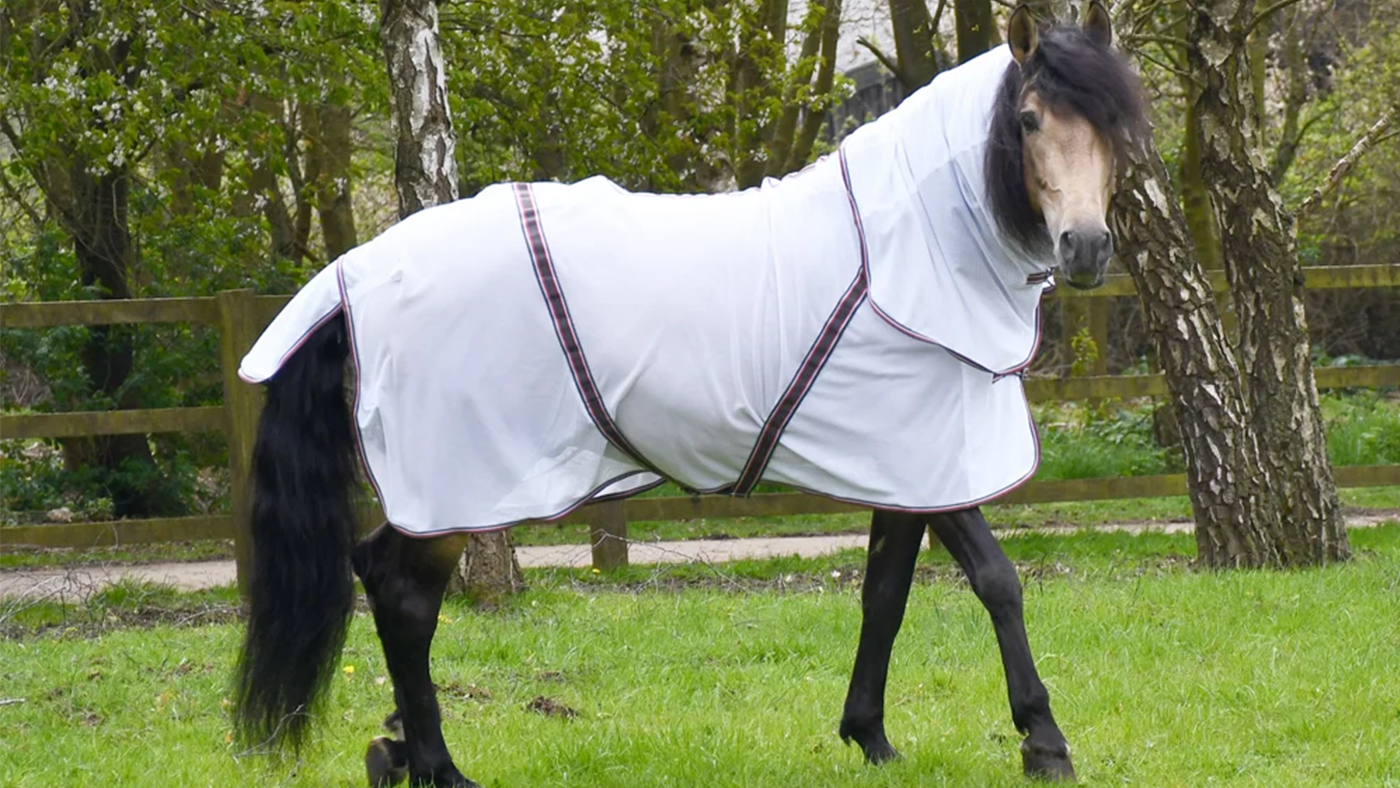 Rhinegold Kenya fly rug