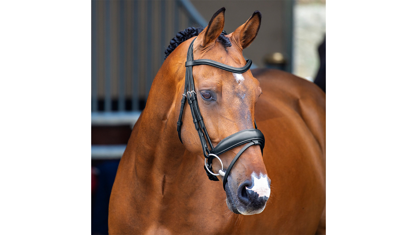 Shires Velociti Lusso Dressage Flash Bridle