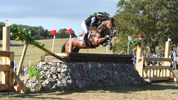 Badminton Horse Trials withdrawals: Tim Price has withdrawn Falco as he heads to Kentucky
